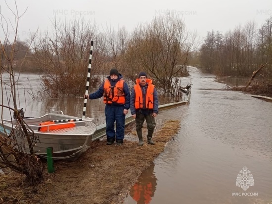 В сеть выложили фото переправы по затопленной деревне в Орловской области
