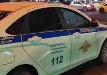 В Петербурге задержали парня, который был в федеральном розыске за кражу телефона в Анапе. Об этом сообщил источник в правоохранительных органах.