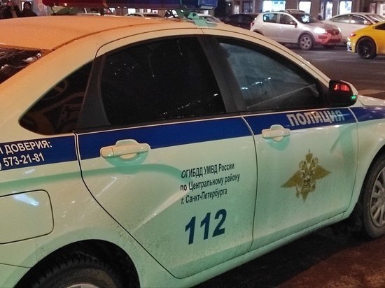 Находящегося в федеральном розыске за кражу телефона парня задержали в Петербурге