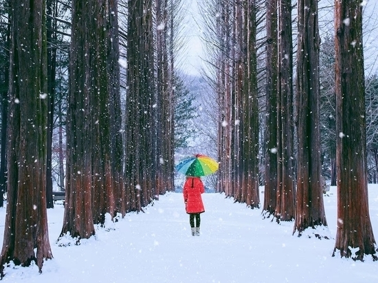 19 марта в Красноярске ожидаются дождь и мокрый снег