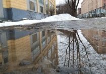 В МЧС спрогнозировали паводки в некоторых регионах страны, попала в этот список и Ленинградская область.