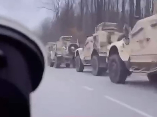 A video with a column of NATO armored vehicles that Ukraine did not have before