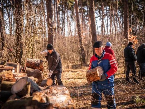 В Курске 18 марта 170 человек заготовили 70 кубометров дров для бойцов СВО