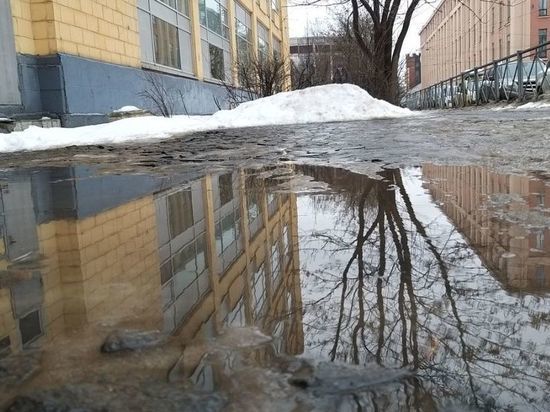 В МЧС спрогнозировали паводки под Петербургом