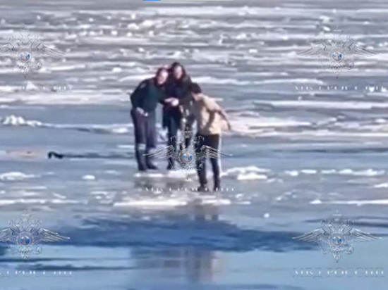 Глава МВД наградит сотрудника ГИБДД из Петербурга за спасение провалившегося под лед мужчины