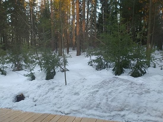 В Удмуртии ожидается резкое похолодание в ночи на воскресенье и понедельник