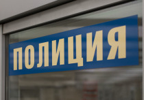 МВД возбудило уголовное дело по факту пожара и гибели животного в Московской области, сообщает телеграм-канал "112"