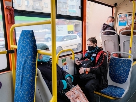 В Волгограде ищут перевозчика для дачных автобусных маршрутов