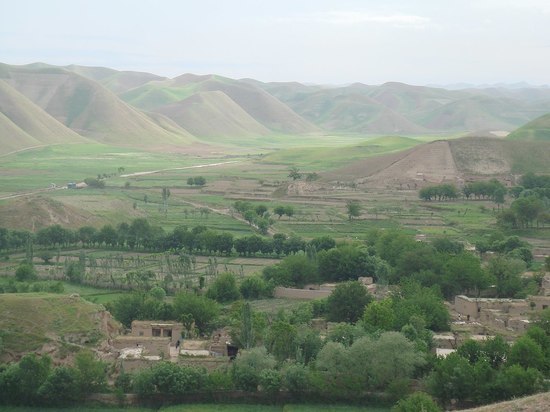 В Афганистане запретили выращивание марихуаны