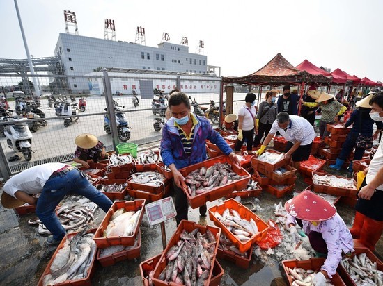 Эксперты ВОЗ запросили у Китая данные о животных на рынке в Ухане