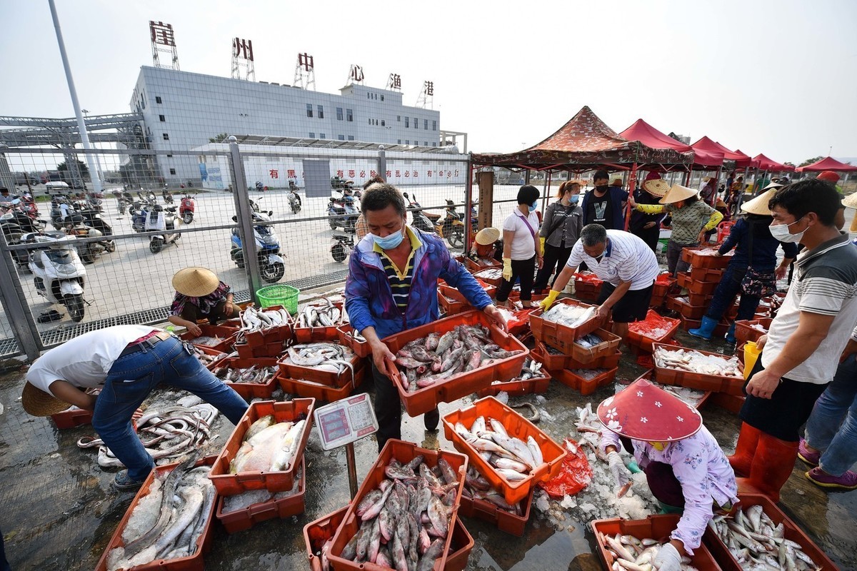 WHO experts ask China for data on animals at Wuhan market