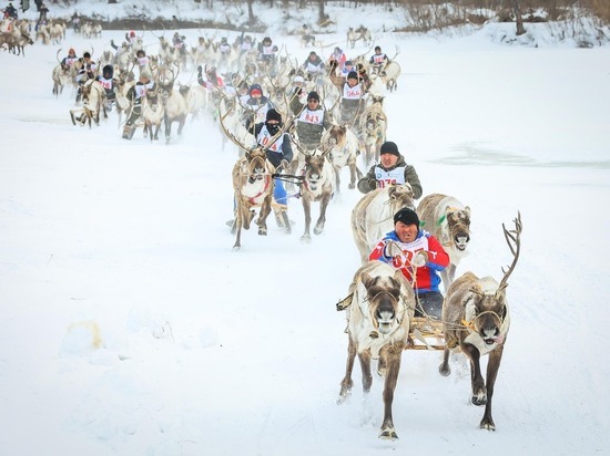 В Якутии объявлены победители массовых гонок на оленьих упряжках