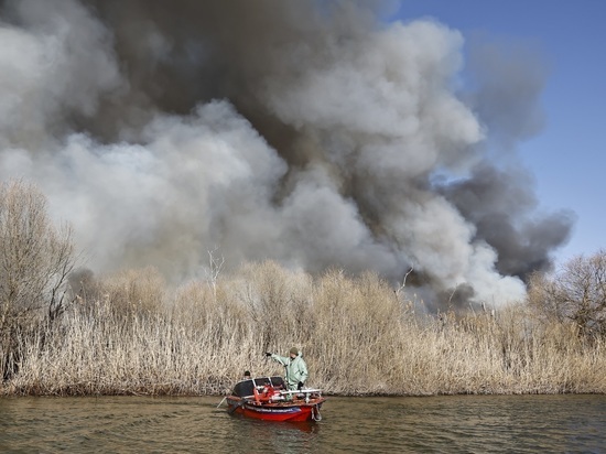 За несколько дней огонь опустошил более 12 тысяч гектаров суши в Астраханской области