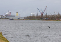 Власти Бельгии заявили, что содействуют экспорту российских удобрений через свои порты