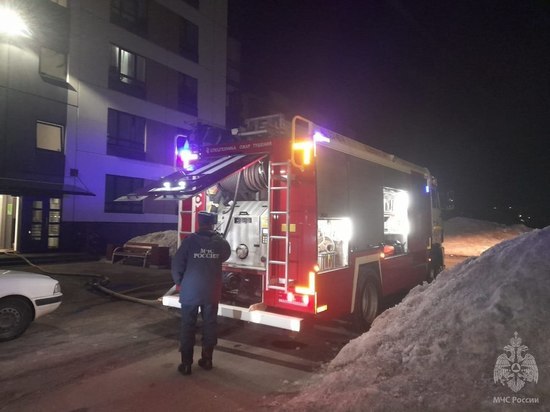 Из горящего дома на Колмовской набережной эвакуировали 30 человек