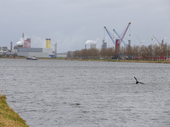 Власти Бельгии заверили в содействии экспорту российских удобрений через свои порты