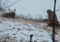 Сразу несколько украинских интернет-ресурсов опубликовали видео, на котором украинские военные отправляют в сторону российских позиций начиненные взрывчаткой боевые мини-роботы