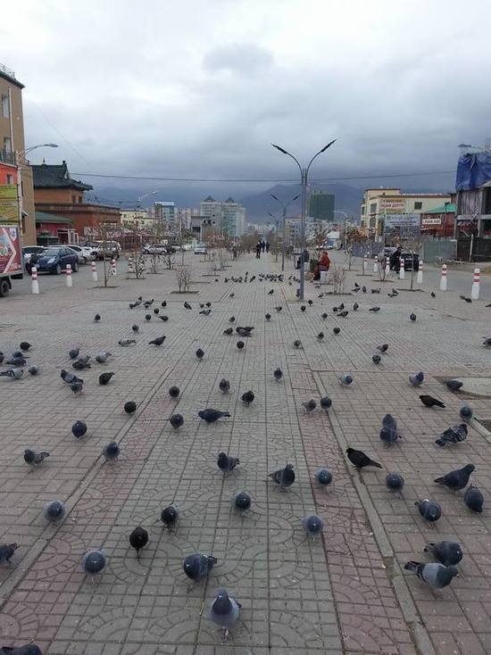 В Улан-Баторе состоялась демонстрация против насилия над детьми