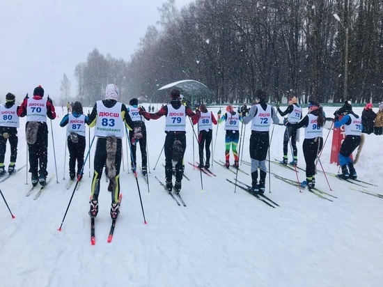 «Хвостатая» лыжная гонка состоялась в Волоколамске