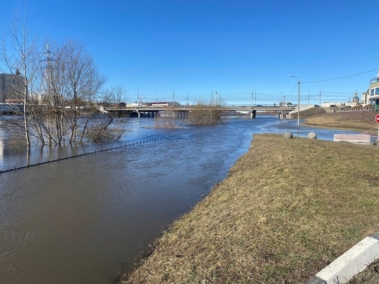Уровень воды в тульской реке Упа поднялся на 5 метров