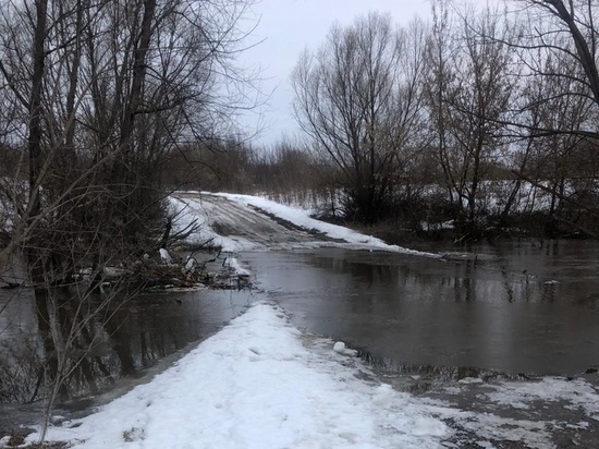 19 марта в Спасском районе подтопило мост около деревни Острая Лука