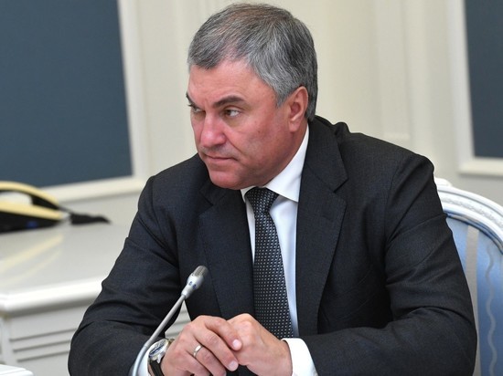 «Мне от избирателей скрывать нечего»: Володин задекларировал почти 81 млн рублей дохода
