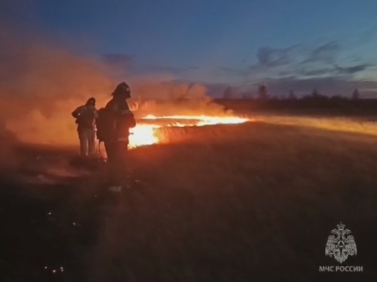 Пожар в Читинском районе уничтожил 350 гектаров сухой травы