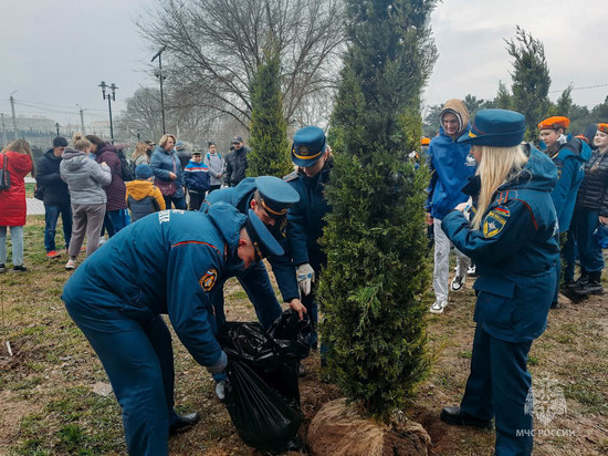 В Севастополе поддержали акцию "Сад памяти"