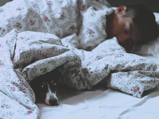Ученые объяснили, почему домашних животных нельзя пускать в кровать