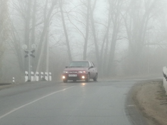 МЧС предупредило тамбовчан о тумане и плохой видимости на дорогах в ближайшее часы
