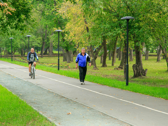 В Барнауле выделили 117 млн рублей на благоустройство парка «Изумрудный»