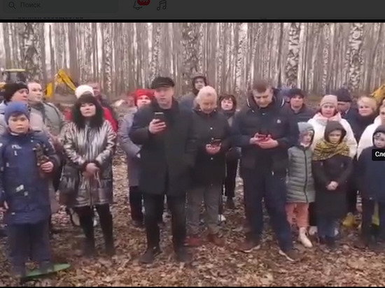 Жители Семилук Воронежской области обратились к губернатору о прекращении вырубки деревьев