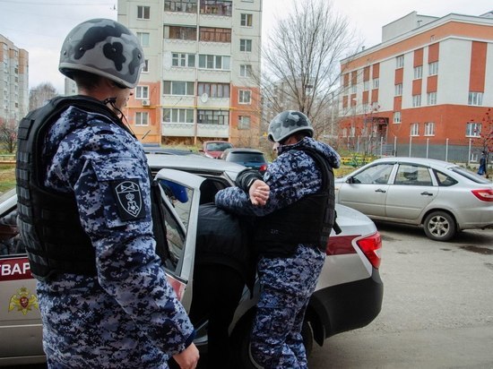 Пензенские росгвардейцы задержали расхитителей гаража
