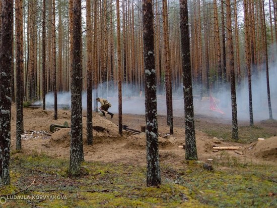 Житель Карелии контрабандой ввез лес в Финляндию