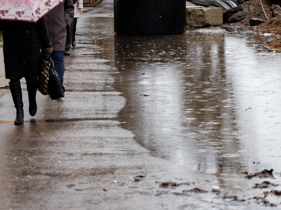 Дождь и до +9 тепла обещают псковские синоптики 21 марта