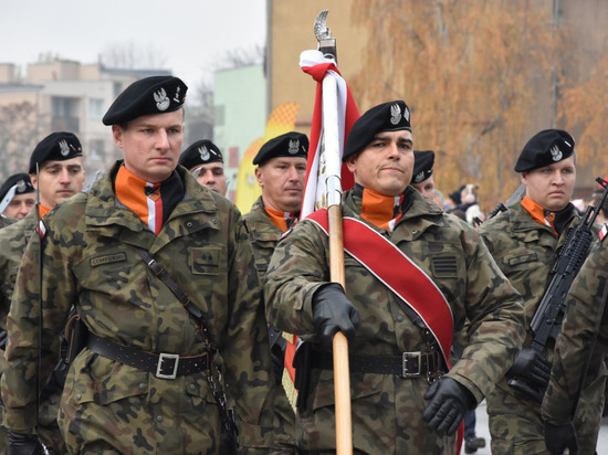 Австрийцы осудили слова польского посла о конфликте с Россией