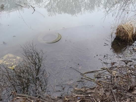 Жители Ростова обнаружили слив нечистот в Можайские пруды
