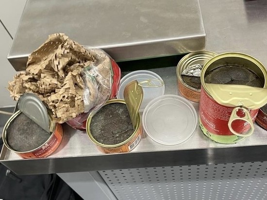 8 консервных банок с гашишем нашли таможенники в багаже пассажира в Шереметьево