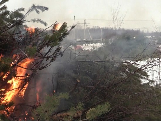 Костромское МЧС и служба лесоохраны отработали тушение лесного пожара