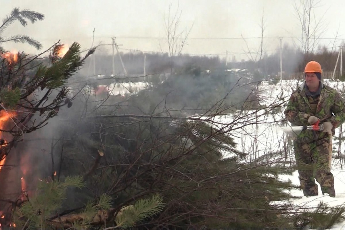 Костромское МЧС и служба лесоохраны отработали тушение лесного пожара