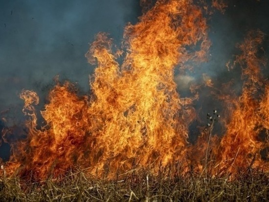 За выходные в Забайкалье потушили 35 ландшафтных и 5 лесных пожаров