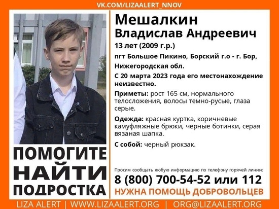 В Нижегородской области разыскивают 13-летнего Мешалкина Владислава из посёлка Большое Пикино