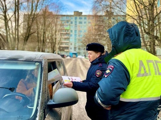«Патрули безопасности» стали проводниками использования средств пассивной защиты на дороге в Новгородской области