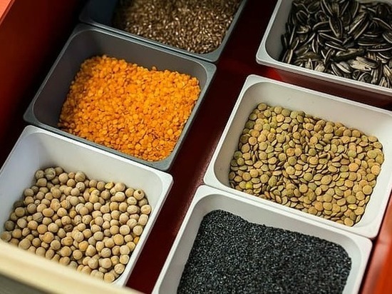 ДНР нарастит объемы экспорта зерновых культур и продуктов питания