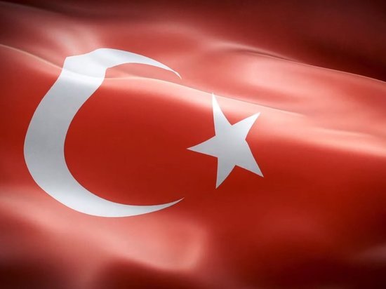 Euractiv: в Турции подтвердили остановку транзита санкционных товаров в Россию