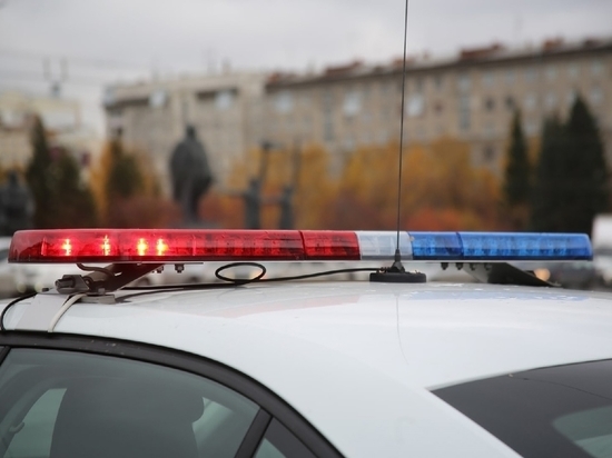 В Омске полицейские разыскивают водителя, который сбил 12-летнюю девочку на улице Круговая