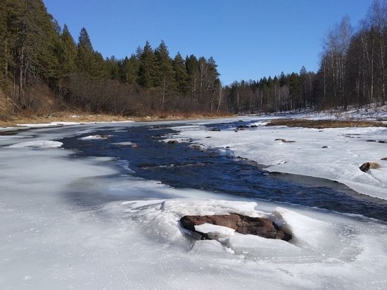 Одна из самых протяженных рек Южного Урала сбросила ледяные оковы
