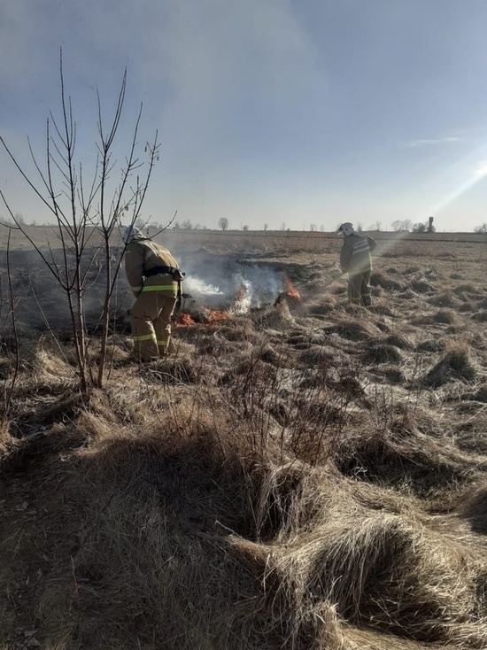 В Курской области хомутовские спасатели потушили луг с горящей травой