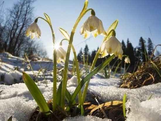 Атмосферная весна в этом году совпадет в Костроме с астрономической