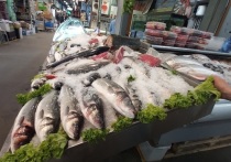 Минсельхоз на фоне санкций предложил изменить стратегию развития рыбохозяйственного комплекса в стране